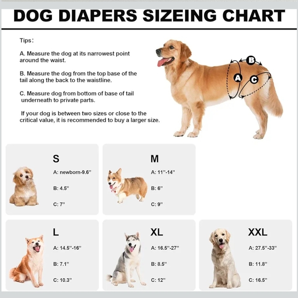 Colorful Reusable Dog Diapers - Pack of 6 - Picture 3 of 8